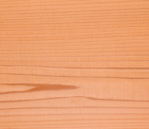Sugi – Japanese Cedar swatch