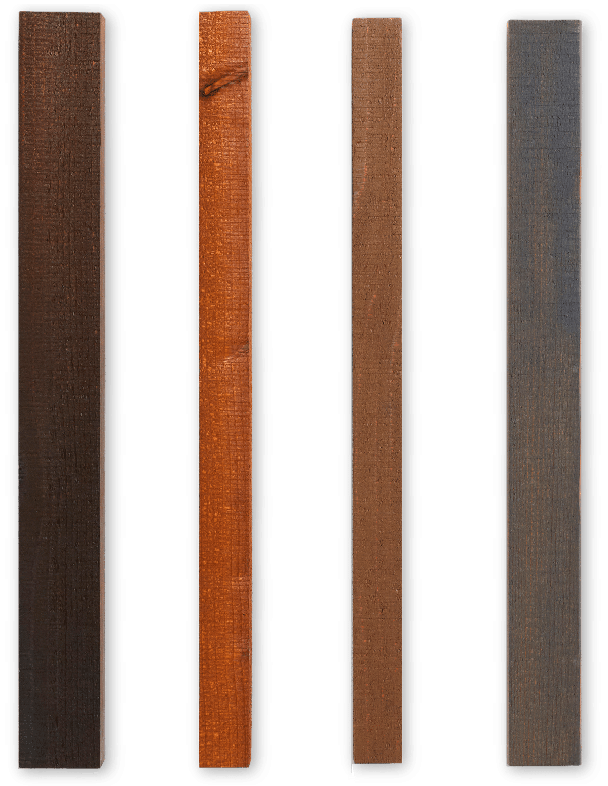 japanese cedar screening