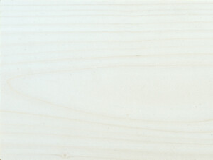 Todomatsu – White Fir swatch
